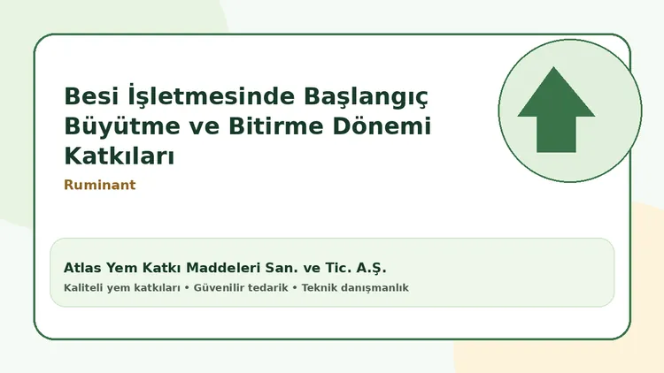Besi İşletmesinde Başlangıç Büyütme ve Bitirme Dönemi Katkıları