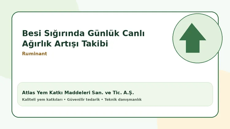 Besi Sığırında Günlük Canlı Ağırlık Artışı Takibi