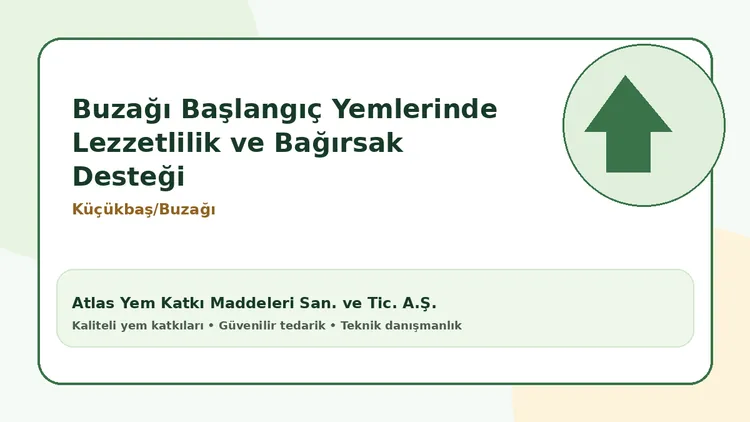 Buzağı Başlangıç Yemlerinde Lezzetlilik ve Bağırsak Desteği