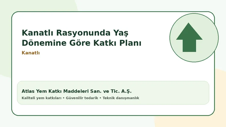 Kanatlı Rasyonunda Yaş Dönemine Göre Katkı Planı
