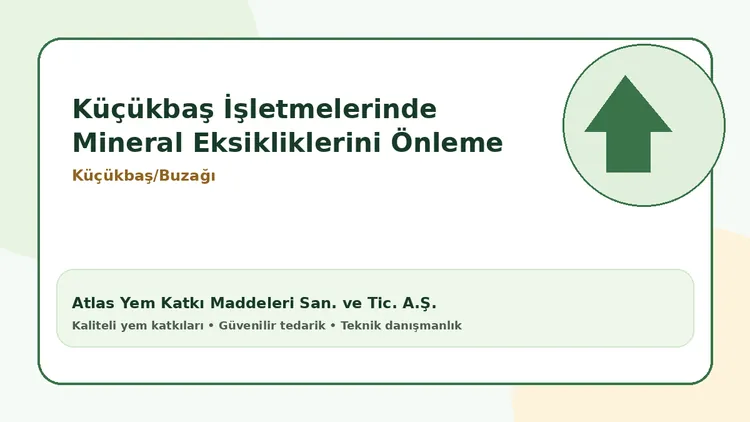 Küçükbaş İşletmelerinde Mineral Eksikliklerini Önleme