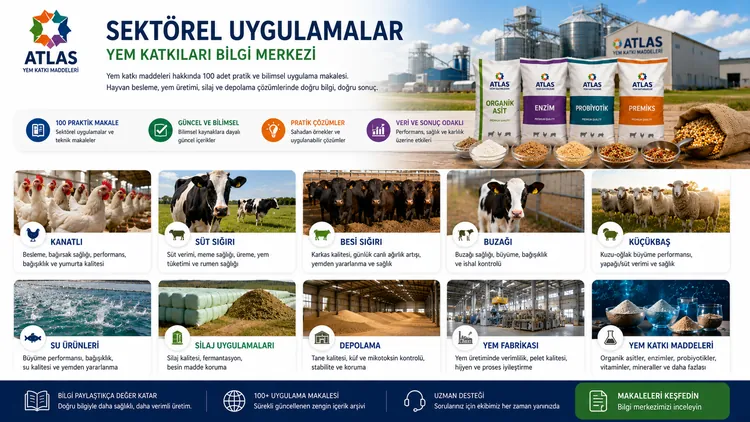 Mastitis Riskinde Bağışıklık Destekli Besleme