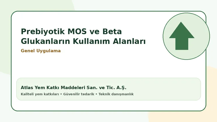 Prebiyotik MOS ve Beta Glukanların Kullanım Alanları